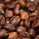 Robusta – niedoceniany gatunek kawy